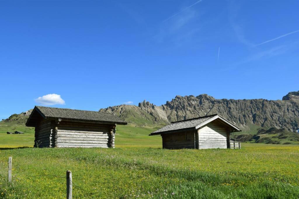 App Schlossblick - Wohnung Hammerwand 2 Umes 外观 照片