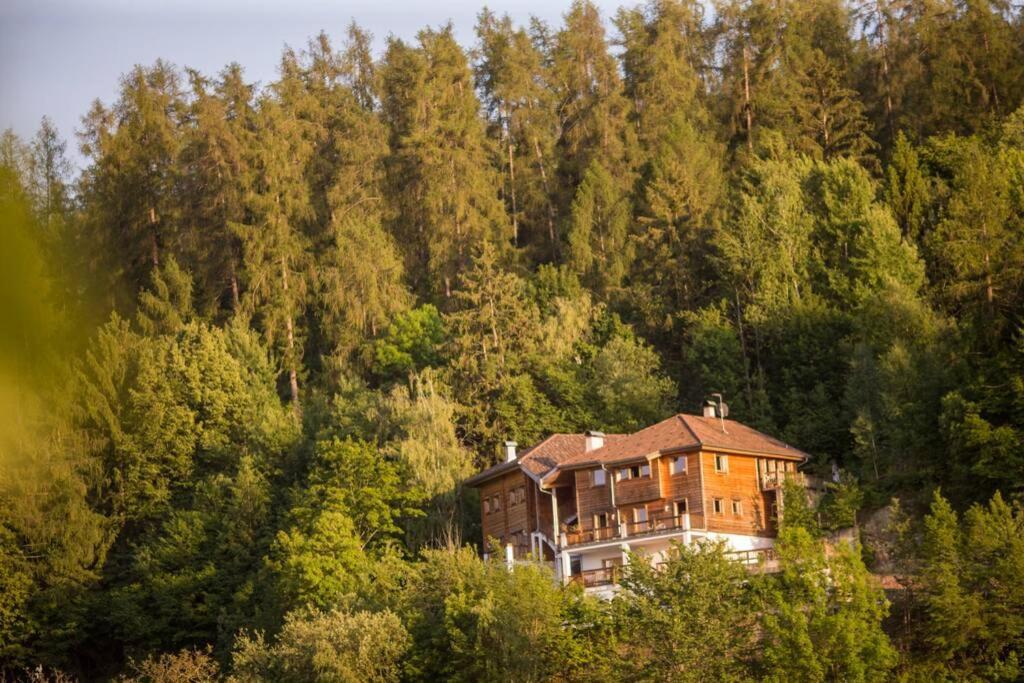 App Schlossblick - Wohnung Hammerwand 2 Umes 外观 照片